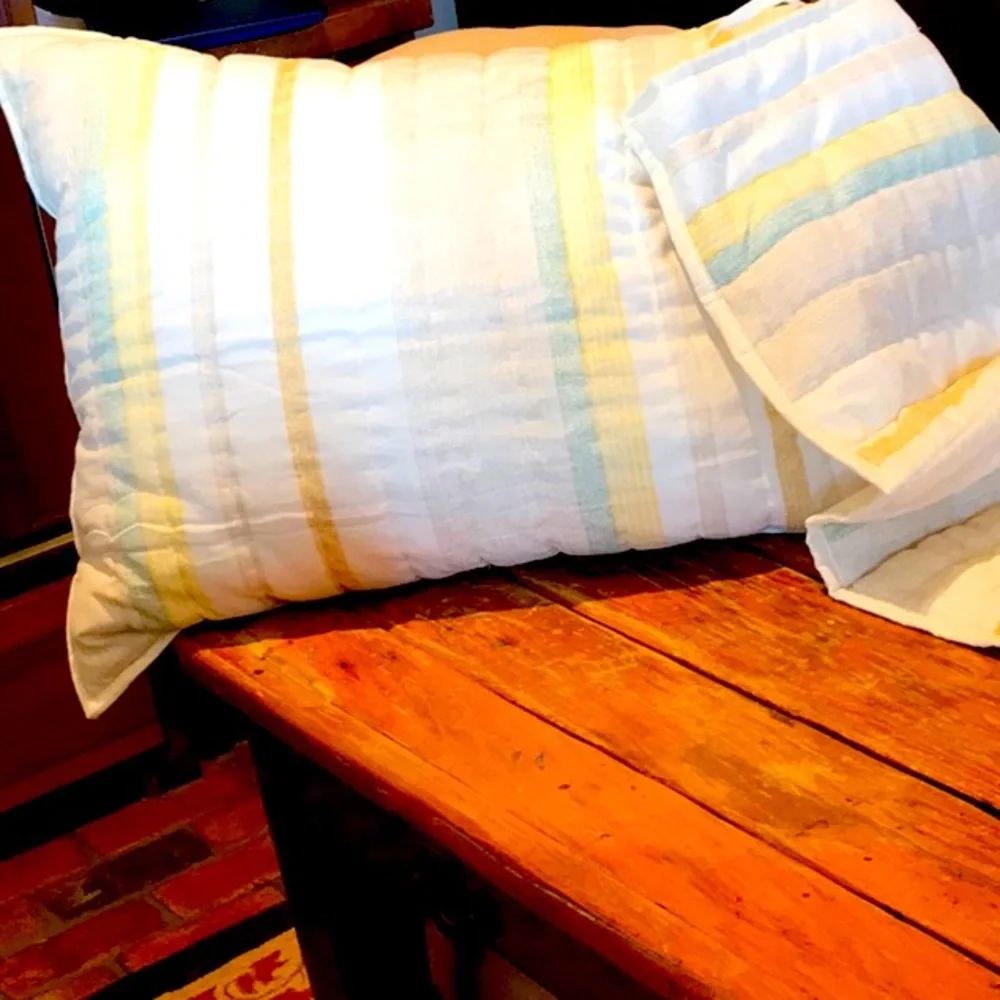 Threshold standard size pillow shams (2)